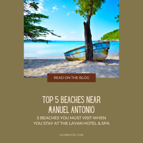 Top-5-Beaches-Square-UPdated-1