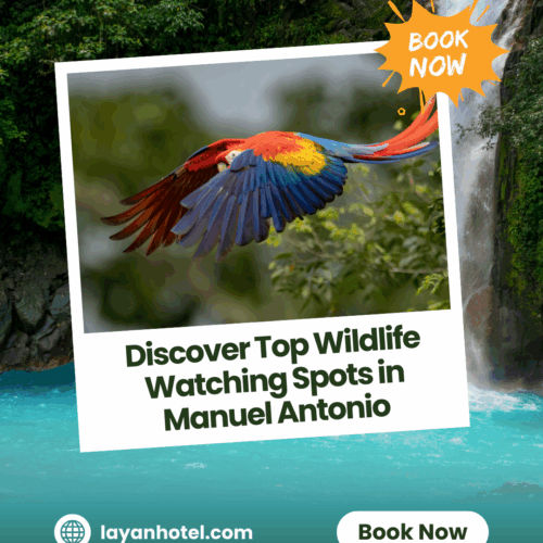 Wildlife Blog Post Image