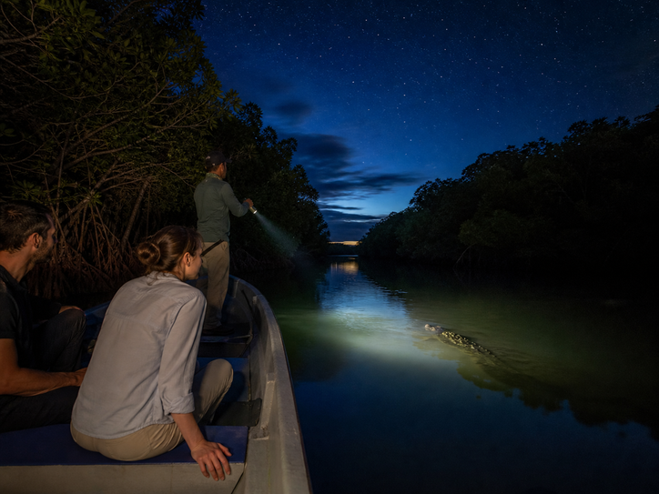 Mangrove-Night-Tour