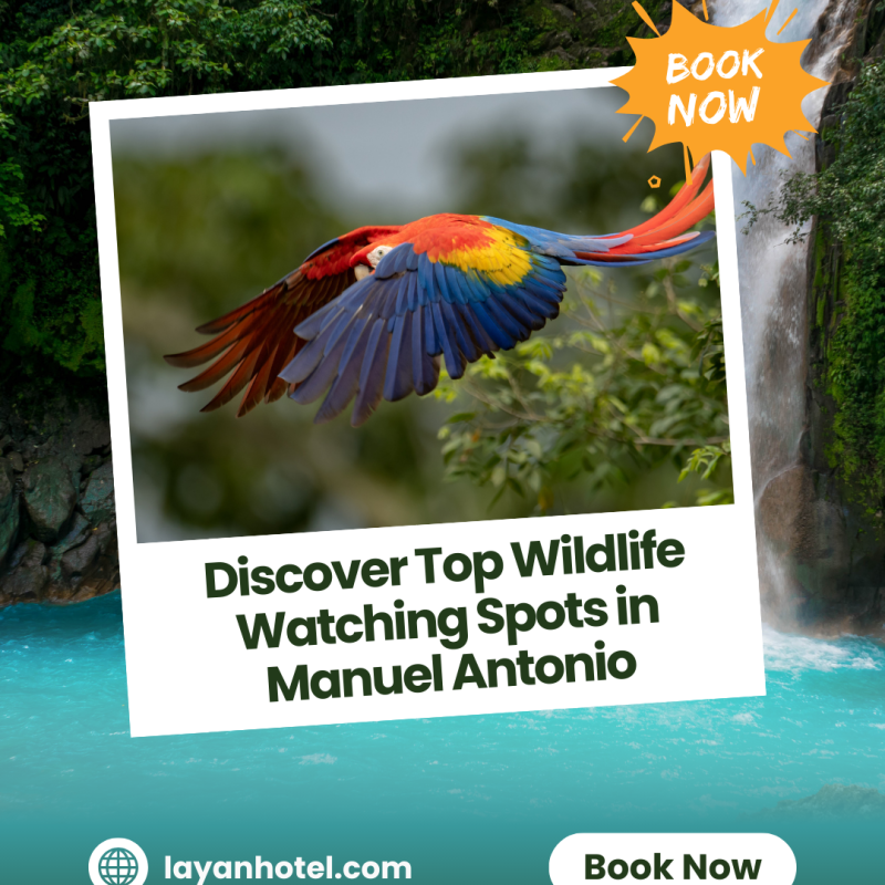 Wildlife-Blog-Post-Image Cultural Wildlife Imagery Featuring Tropical Birds